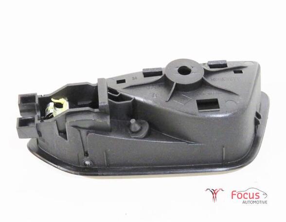 Door Handle RENAULT Clio V (BF)