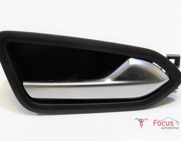 Door Handle RENAULT Clio V (BF)