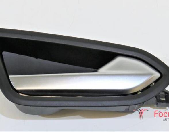 Door Handle RENAULT Clio V (BF)