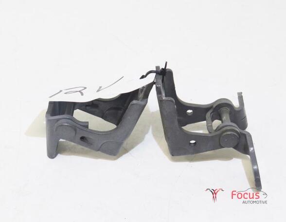 Door Hinge RENAULT Twingo III (BCM)