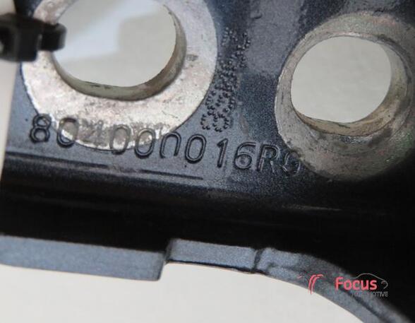 Door Hinge RENAULT Clio IV Grandtour (KH)