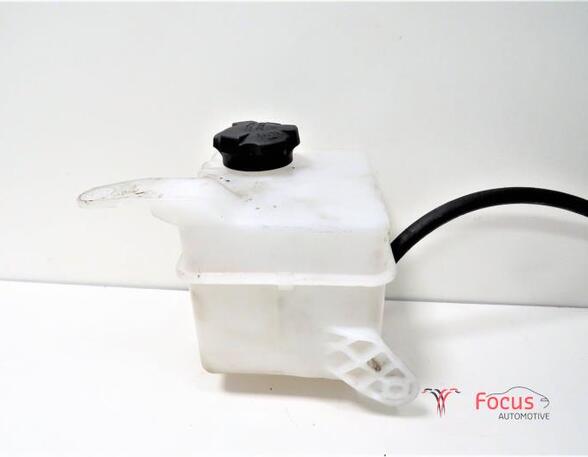 Coolant Expansion Tank HYUNDAI i20 (PB, PBT)