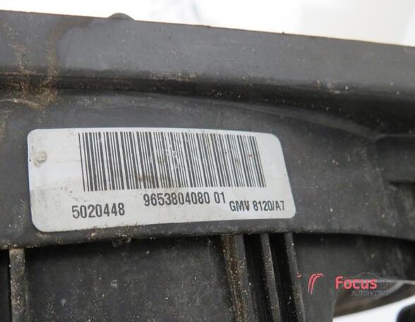 Radiator Electric Fan  Motor PEUGEOT 207 (WA, WC)