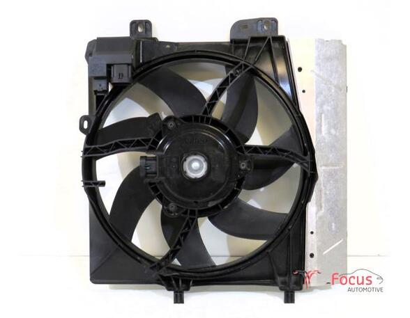 Radiator Electric Fan  Motor CITROËN C3 II (SC)