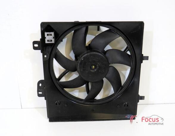 Radiator Electric Fan  Motor CITROËN C3 II (SC)