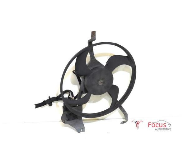 Radiator Electric Fan  Motor CITROËN C3 II (SC_)