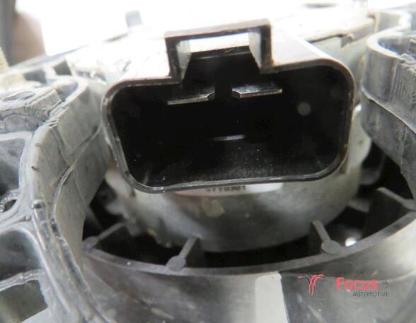 Radiator Electric Fan  Motor FIAT GRANDE PUNTO (199_), FIAT PUNTO EVO (199_)