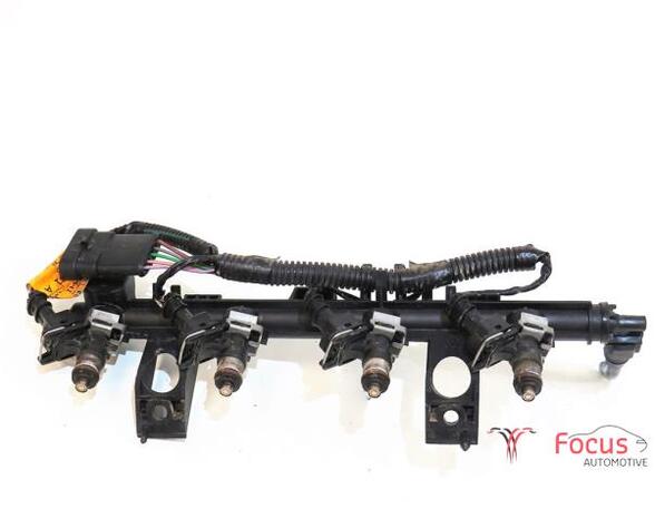 Petrol Fuel Rail RENAULT Clio IV (BH)