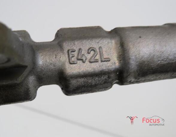 Petrol Fuel Rail FIAT Grande Punto (199), FIAT Punto (199), FIAT Punto Evo (199)