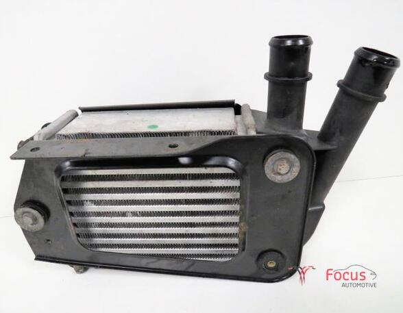 Interkoeler tussenkoeler FIAT Panda (169)