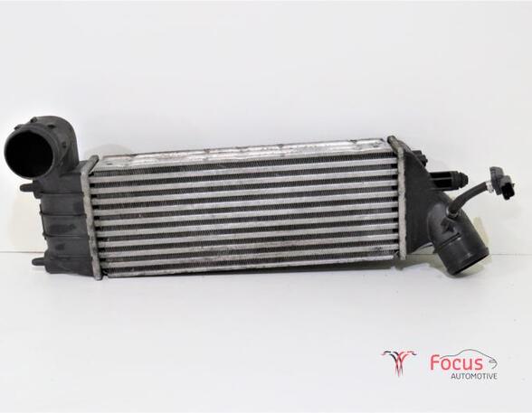 Intercooler CITROËN C8 (EA, EB)