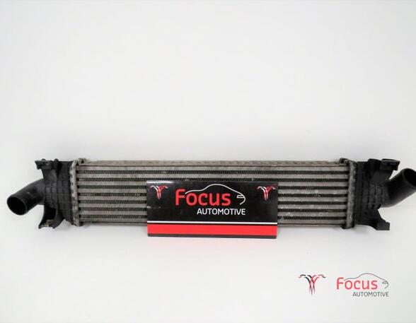 Intercooler FORD FOCUS II (DA_, HCP, DP)