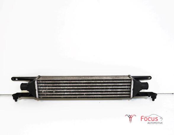 Intercooler FIAT GRANDE PUNTO (199_), FIAT PUNTO (199_), FIAT PUNTO EVO (199_)