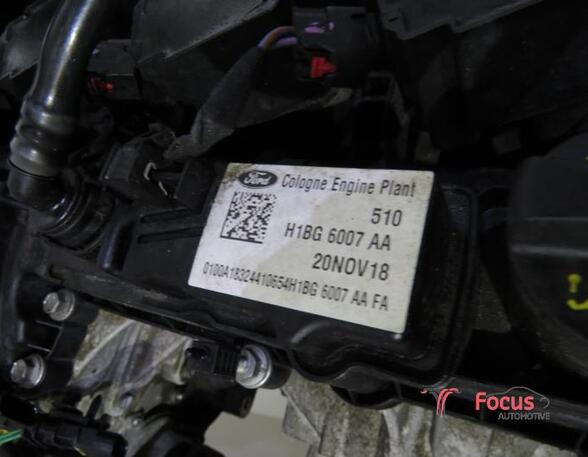 Bare Engine FORD FIESTA VII (HJ, HF)