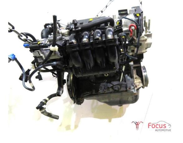 Bare Engine FIAT PANDA (312_, 319_), LANCIA YPSILON (312_), FIAT PANDA VAN (312_, 519_)