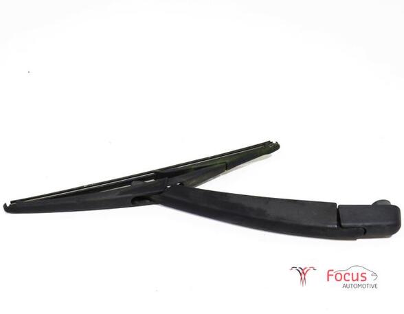 Wiper Arm RENAULT Twingo II (CN0)