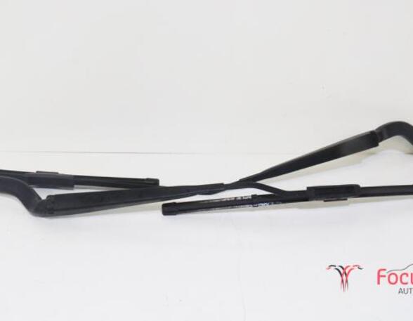 Wiper Arm RENAULT Twingo III (BCM)