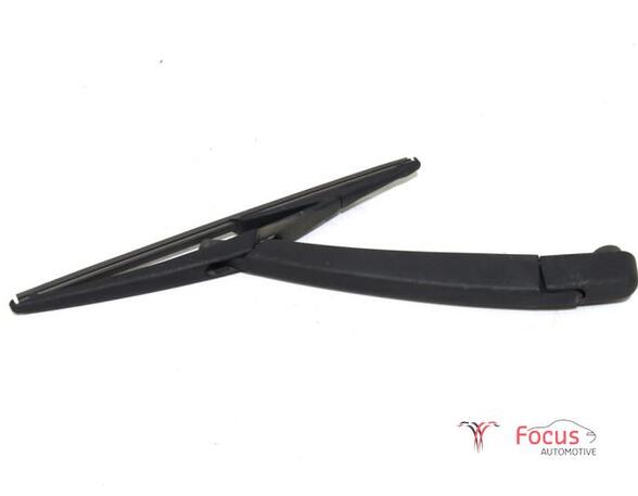 Wiper Arm CITROËN C3 III (SX), CITROËN C3 II (SC_)