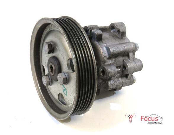 Power steering pump FIAT Doblo Cargo (263), FIAT Doblo Pritsche/Fahrgestell (263), FIAT Doblo Großraumlimousine (263)