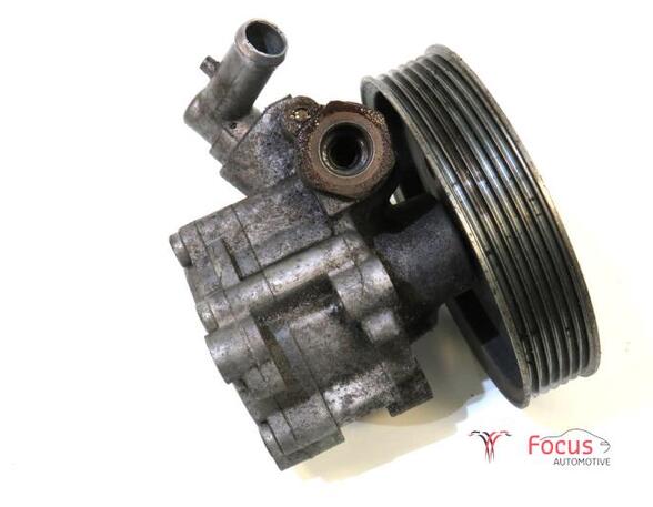 Power steering pump FIAT Doblo Cargo (263), FIAT Doblo Pritsche/Fahrgestell (263), FIAT Doblo Großraumlimousine (263)