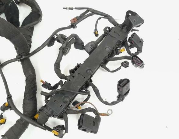 Wiring Harness AUDI A6 Avant (4G5, 4GD), AUDI A7 Sportback (4GA, 4GF)