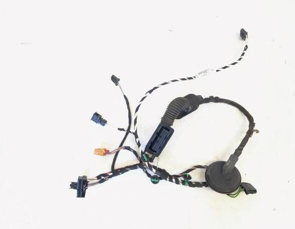 Wiring Harness VW Passat Variant (3G5, CB5), VW Passat Alltrack (3G5, CB5)