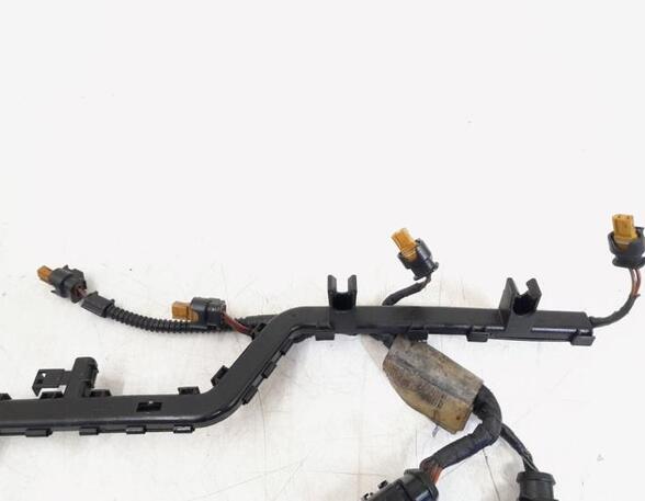 Wiring Harness VW CC (358), VW PASSAT CC (357), AUDI TT (8J3)