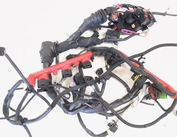 Wiring Harness AUDI A6 Avant (4G5, 4GD, C7), AUDI A6 Allroad (4GH, 4GJ, C7), AUDI A7 Sportback (4GA, 4GF)