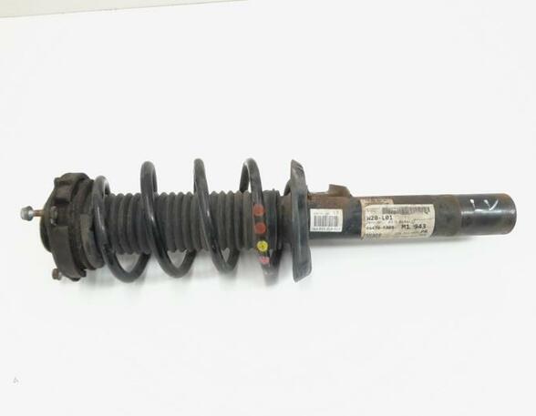 Suspension Strut VW Touran (1T1, 1T2), VW Touran (1T3)