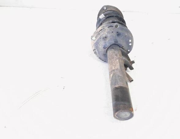 Shock Absorber AUDI A3 Limousine (8VS, 8VM)