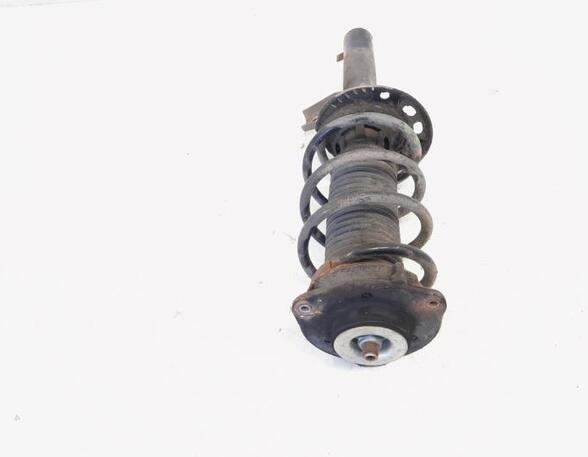 Shock Absorber VW GOLF VI (5K1), VW GOLF VI Van (5K1_), VW GOLF VAN VI Variant (AJ5)