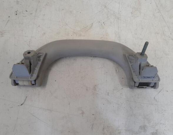 Grab Handle VW PASSAT Variant (3C5)