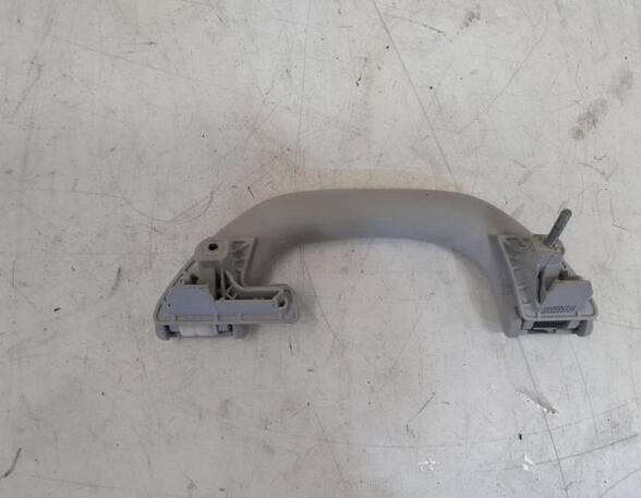 Grab Handle VW PASSAT Variant (3C5), VW PASSAT B7 Estate Van (365), VW GOLF V (1K1)