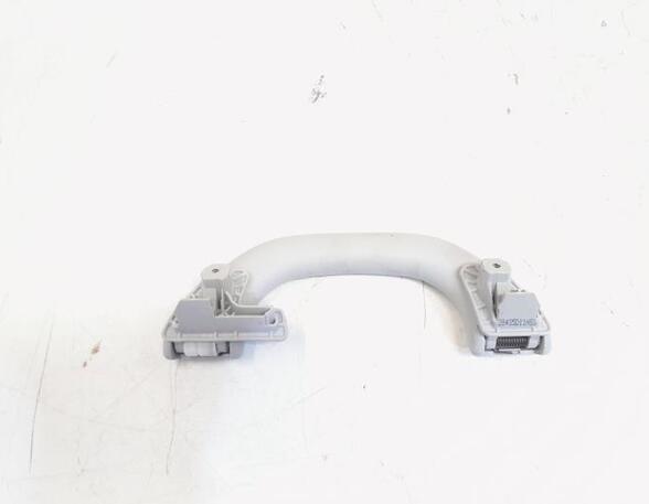 Grab Handle VW TIGUAN (5N_), VW TIGUAN VAN (5N_), VW GOLF V (1K1), VW GOLF VI (5K1)