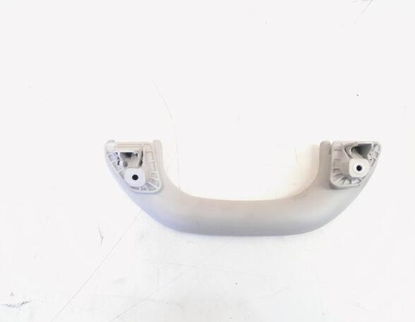 Grab Handle VW GOLF V (1K1), VW GOLF VI (5K1), VW GOLF VAN VI Variant (AJ5), VW GOLF VI Van (5K1_)