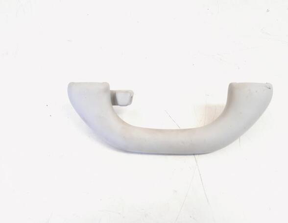 Grab Handle VW GOLF VI (5K1), VW PASSAT B7 Variant (365), VW GOLF V (1K1), VW TIGUAN (5N_)