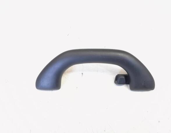 Grab Handle VW GOLF V (1K1), VW GOLF VI (5K1), VW GOLF VAN VI Variant (AJ5), VW GOLF VI Van (5K1_)