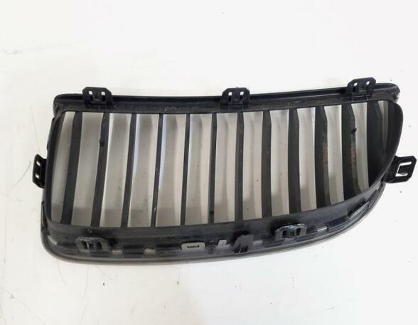 Radiateurgrille BMW 3er (E90)