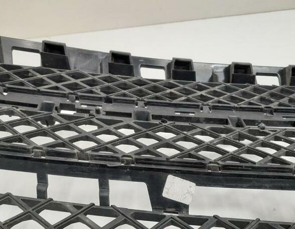 Radiator Grille MERCEDES-BENZ A-Klasse (W176)