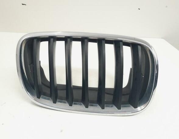 Kühlergrill BMW X5 E70 51137171396 P17430272