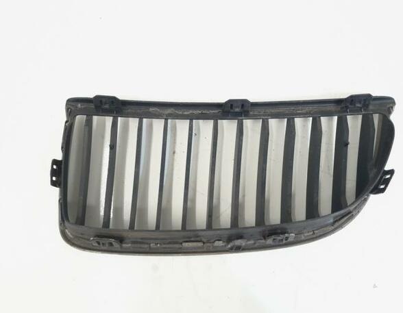 Radiator Grille BMW 3er Touring (E91)