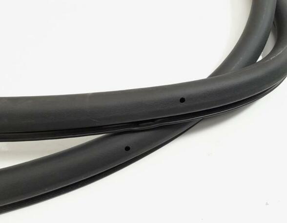 Door Seal VW TOURAN (1T1, 1T2), VW TOURAN (1T3)