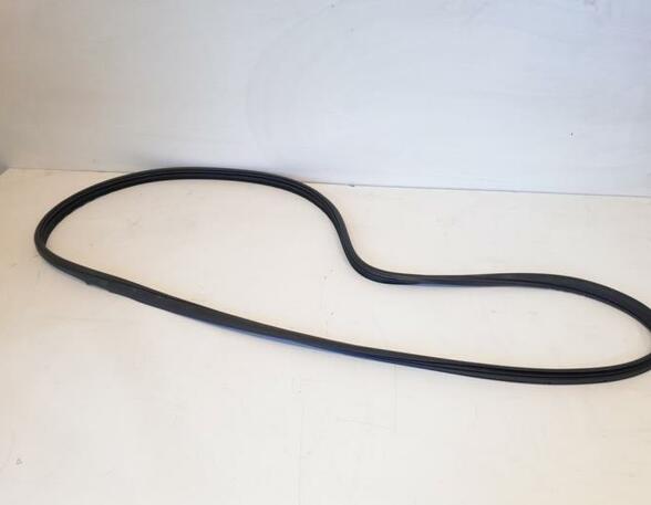 Door Seal FORD Ranger (TKE)