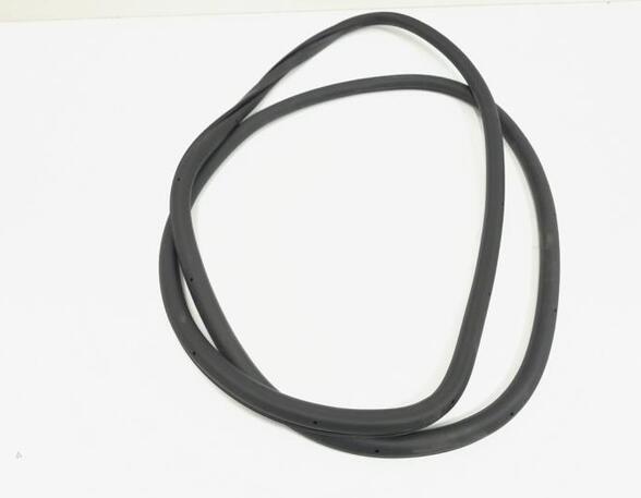 Door Seal VW TOURAN (1T1, 1T2), VW TOURAN (1T3), VW TOURAN (5T1)