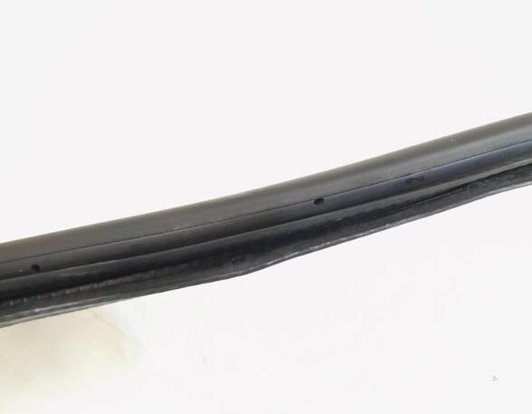 Door Seal AUDI A6 Avant (4F5, C6), AUDI A6 Allroad (4FH, C6)