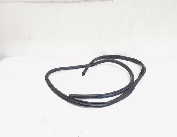 Door Seal BMW X1 (E84)