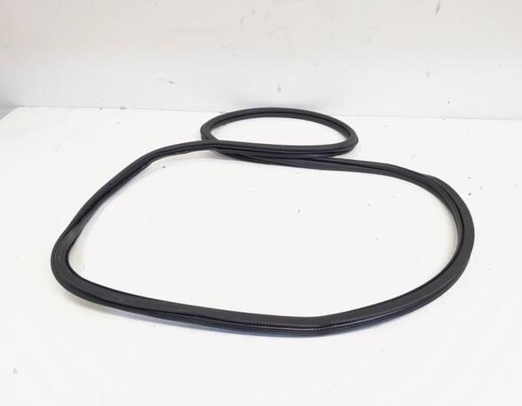 Door Seal VW Polo (AW1, BZ1)