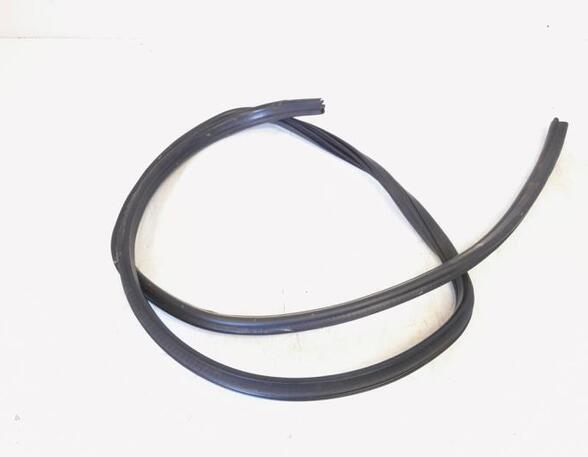 Door Seal BMW X1 (E84)