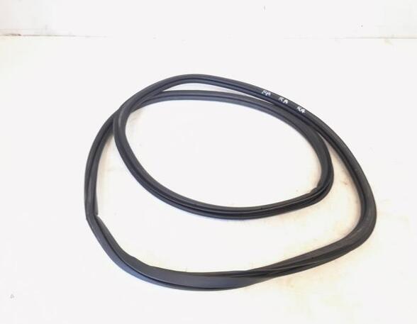 Door Seal LYNK & CO 1