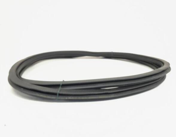 Door Seal VW POLO (6R1, 6C1), VW POLO Van (6R)